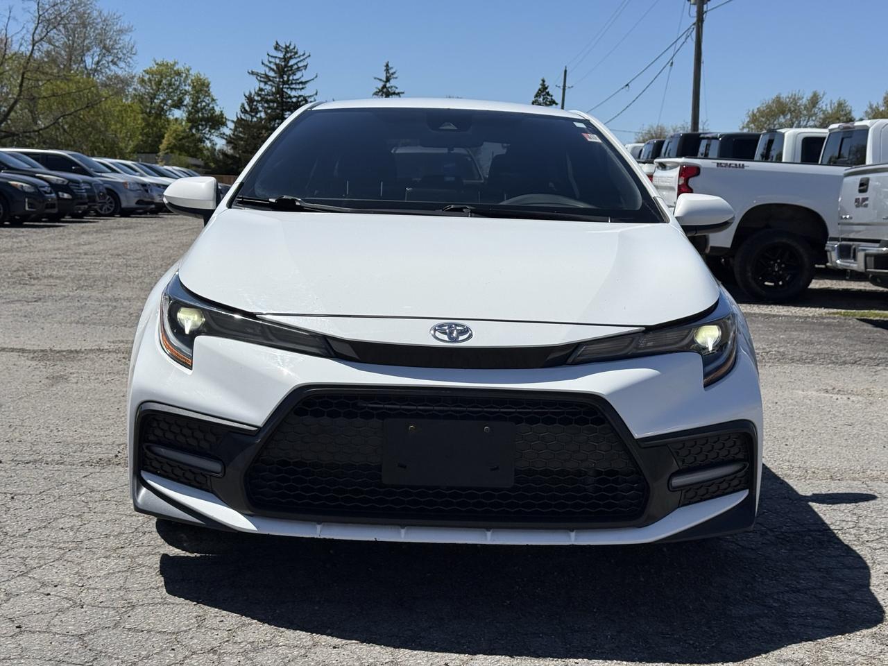 2020 Toyota Corolla SE Photo