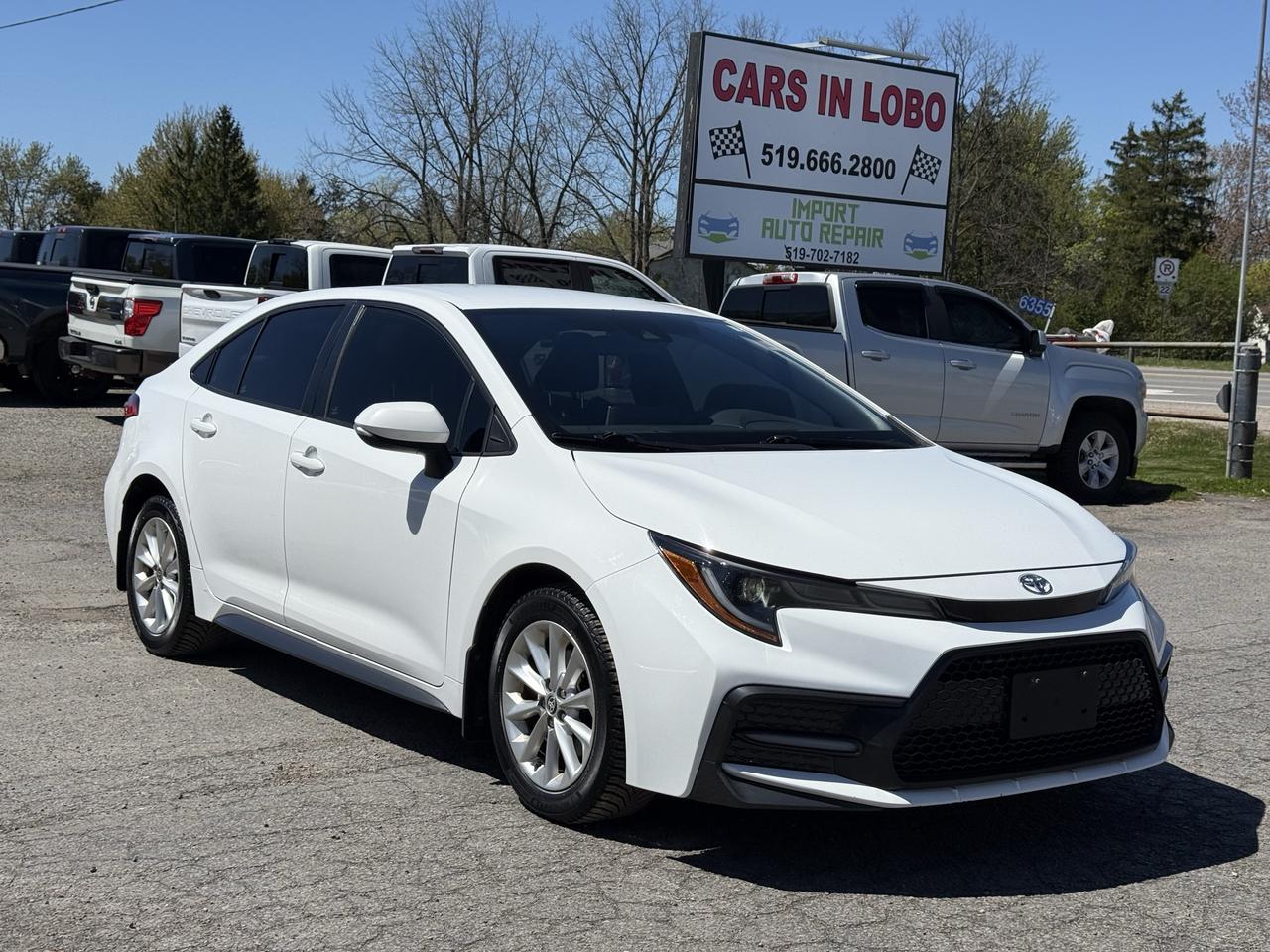 2020 Toyota Corolla SE Photo