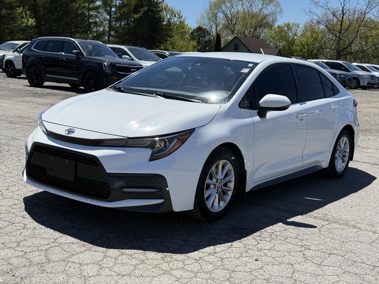 2020 Toyota Corolla SE Photo