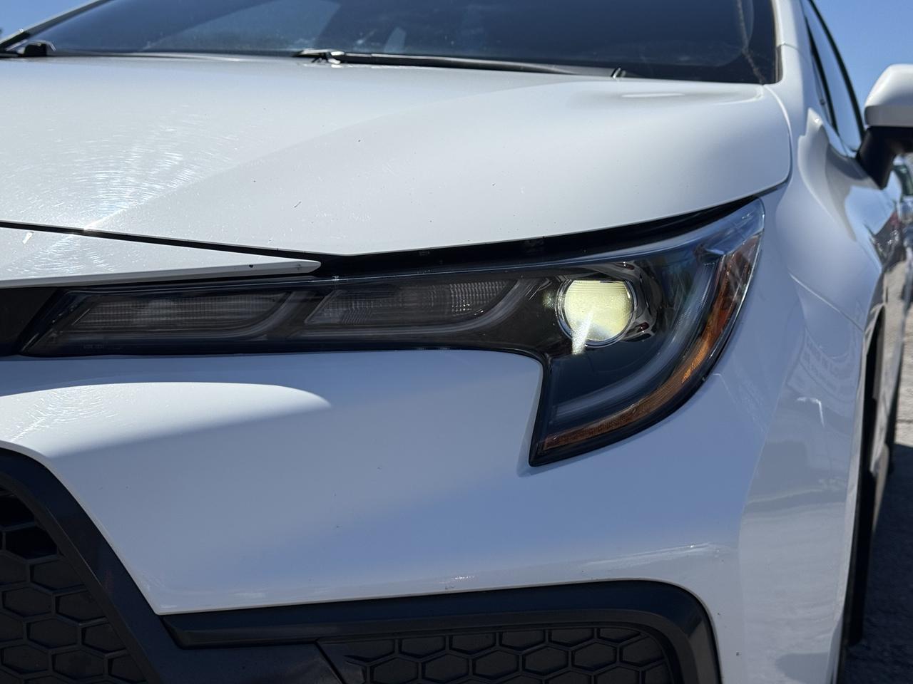 2020 Toyota Corolla SE Photo
