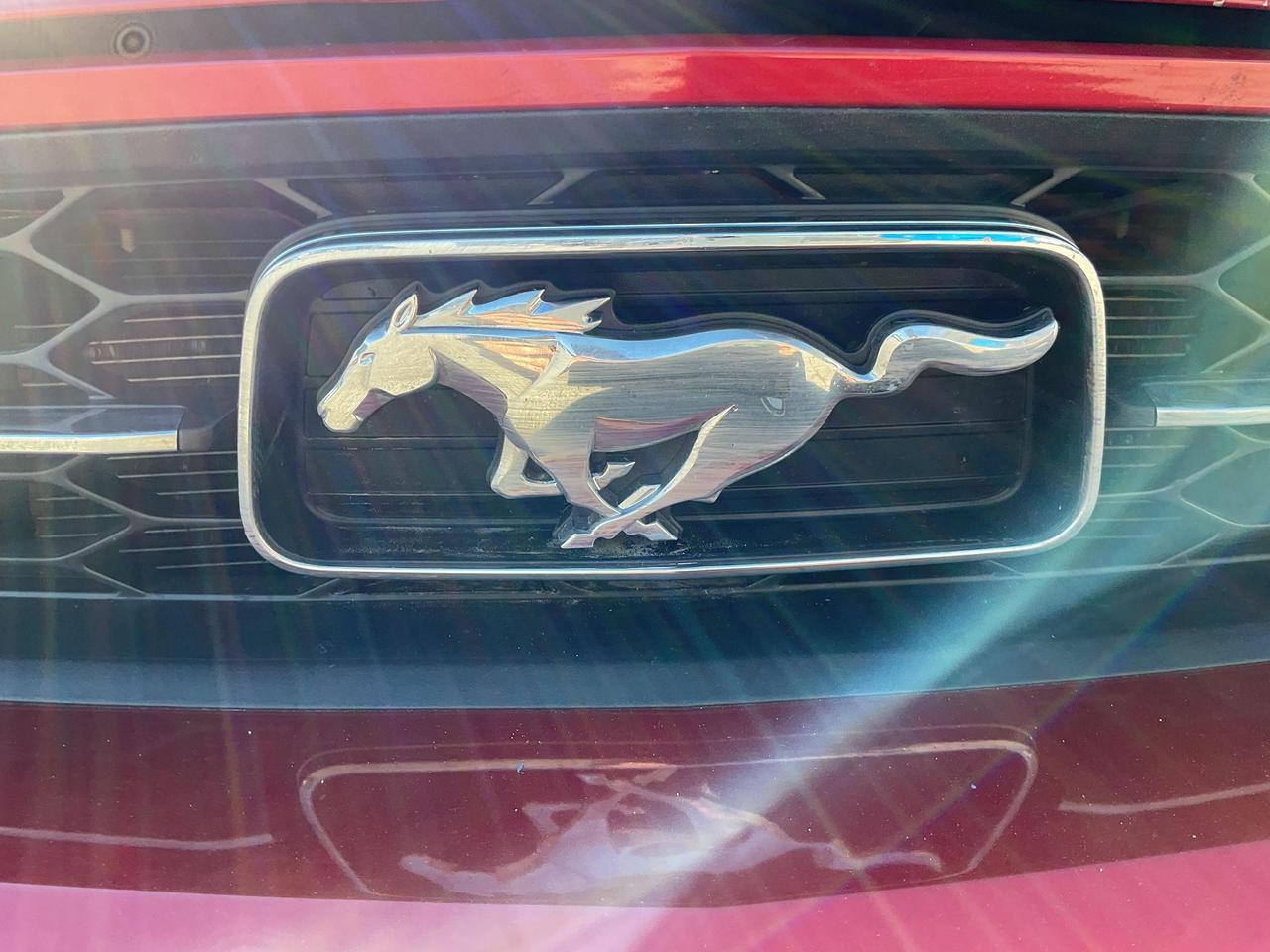 2012 Ford Mustang  Photo