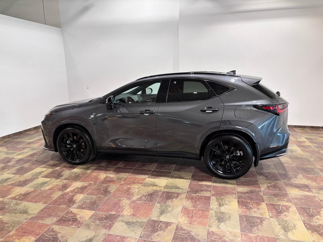 2024 Lexus NX 350 F-SPORT 2 PACKAGE Photo