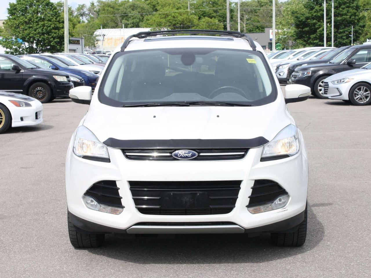2013 Ford Escape 4WD 4DR SEL Photo