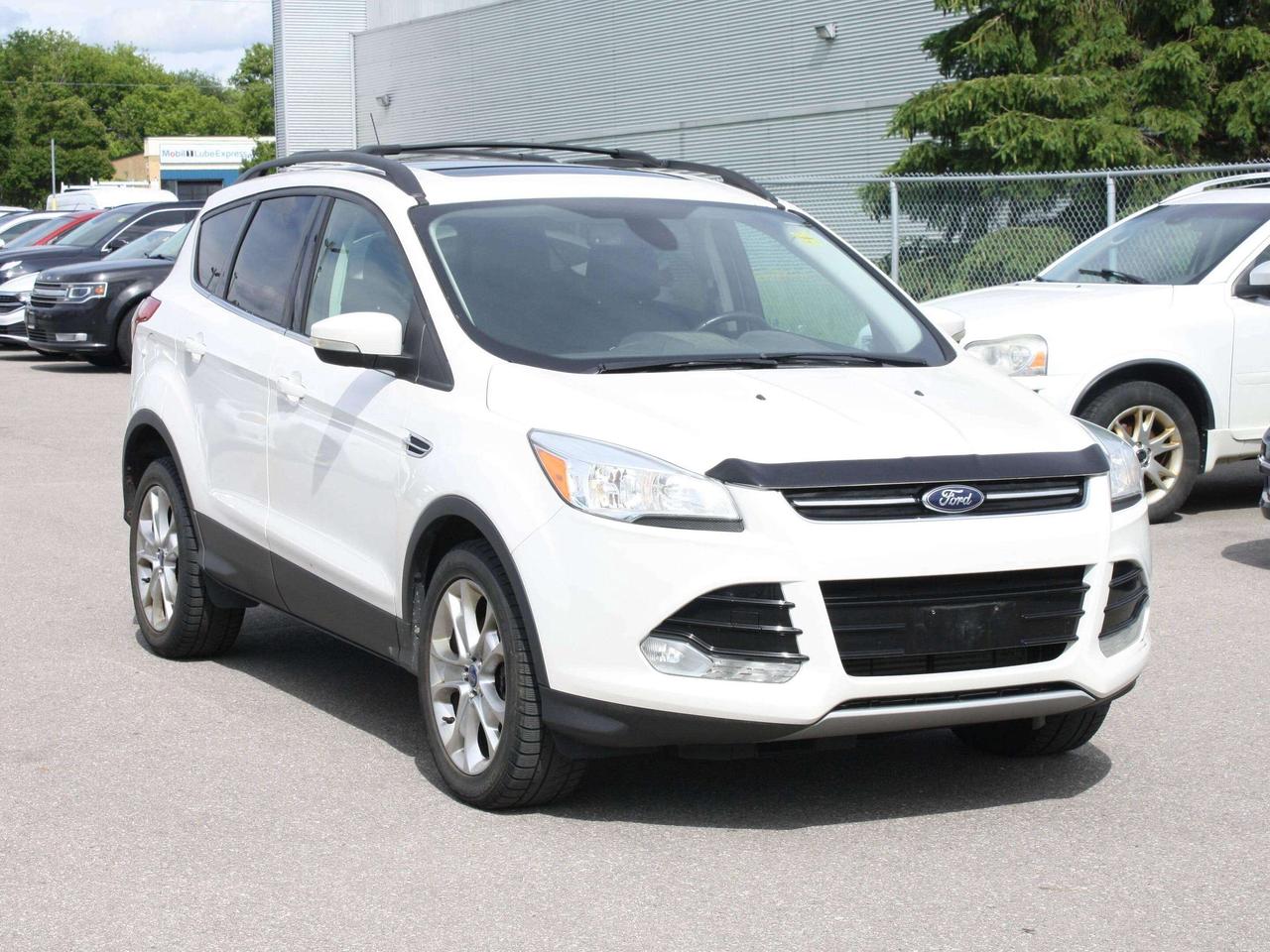 2013 Ford Escape 4WD 4DR SEL Photo