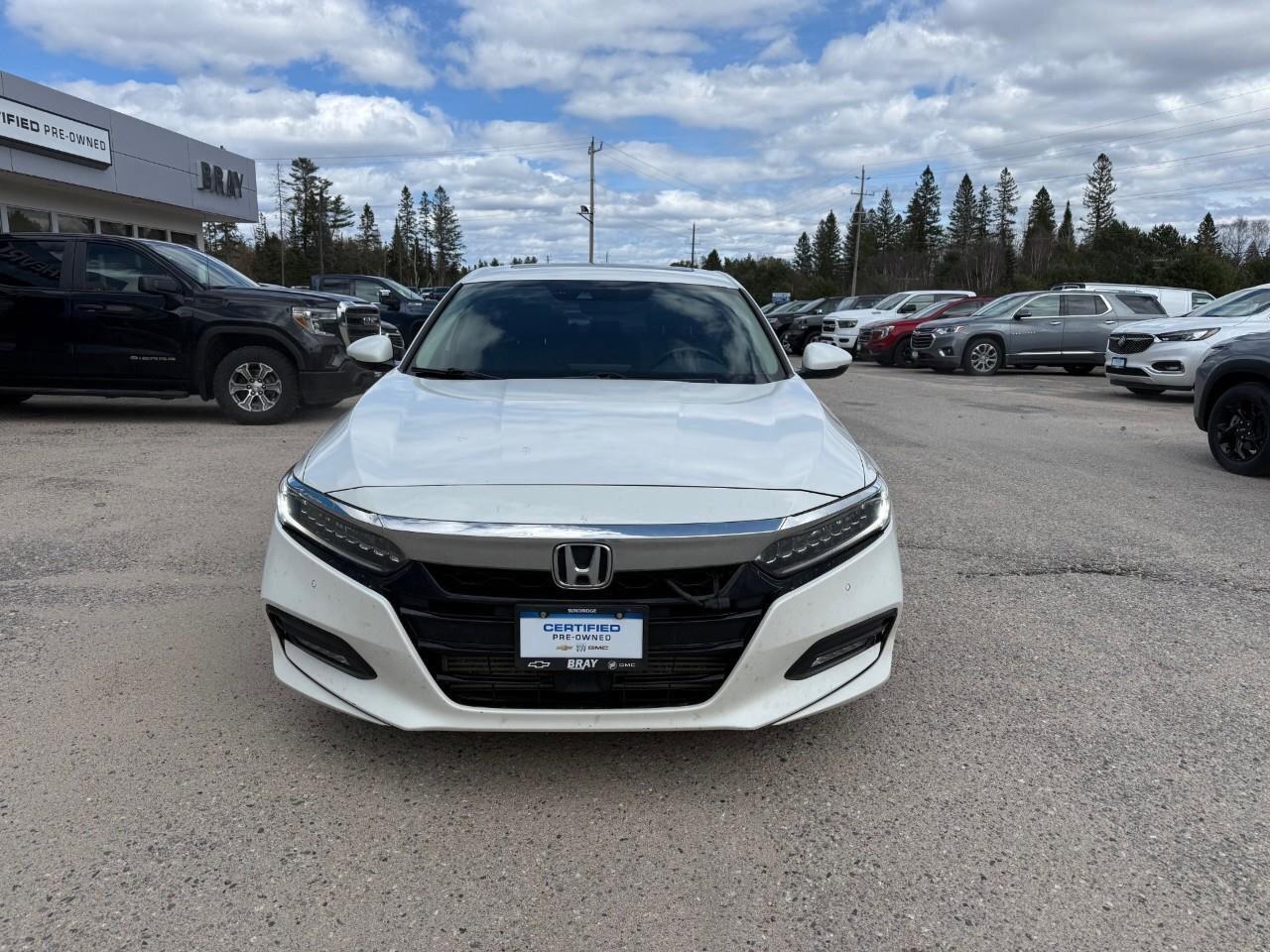 2019 Honda Accord Sedan Touring CVT Photo