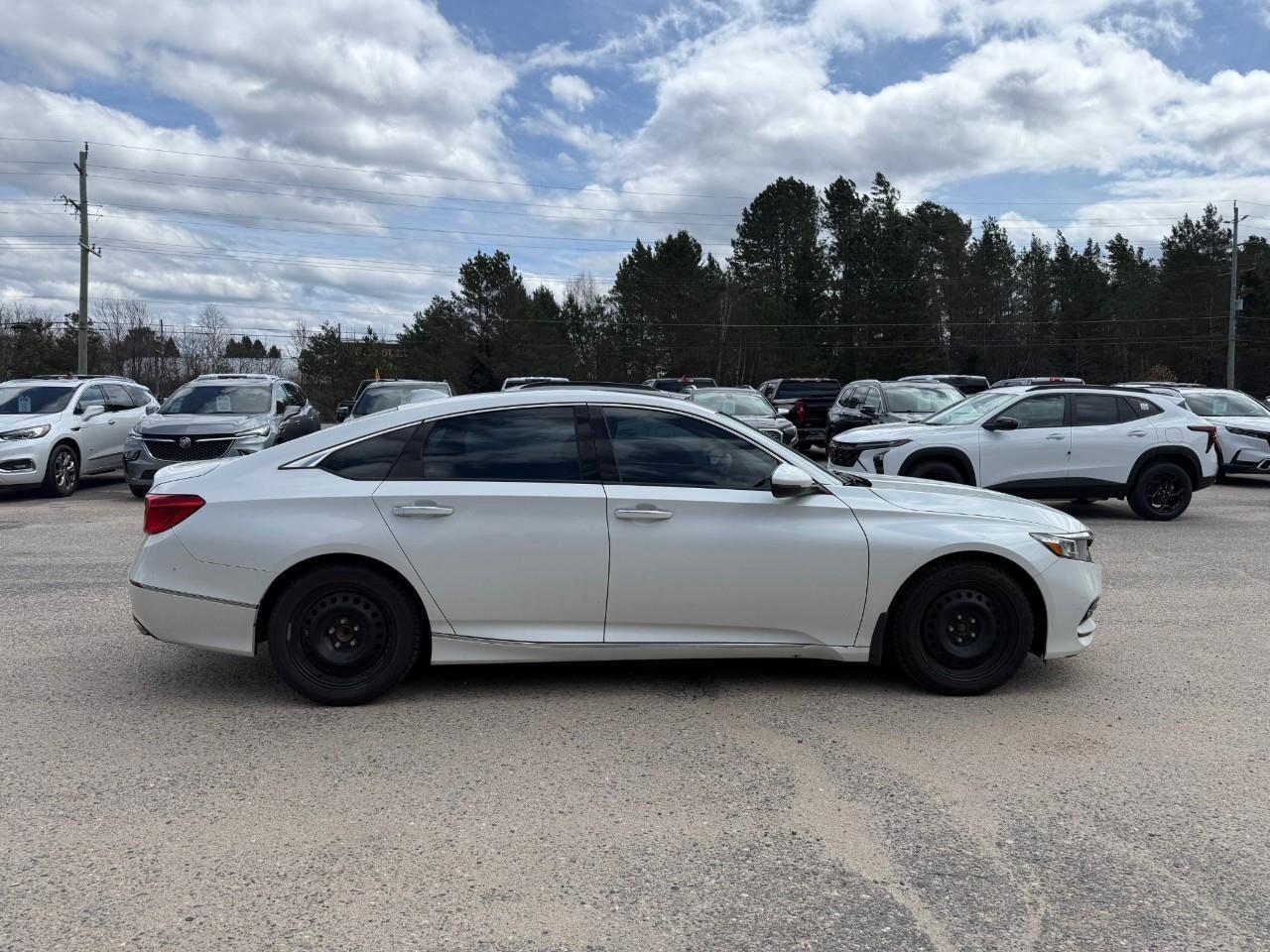 2019 Honda Accord Sedan Touring CVT Photo