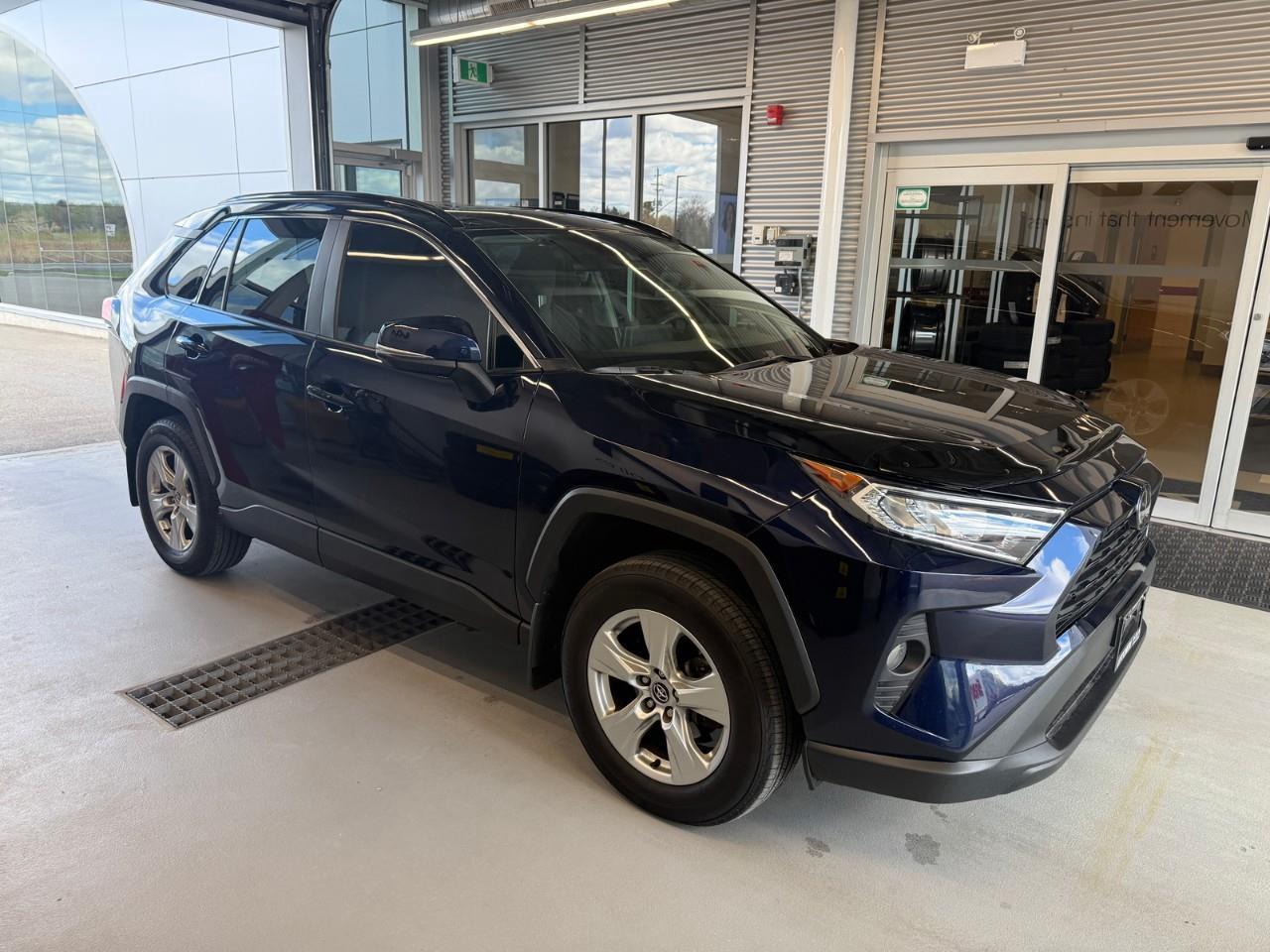 2020 Toyota RAV4 XLE 4dr Front-wheel Drive Photo
