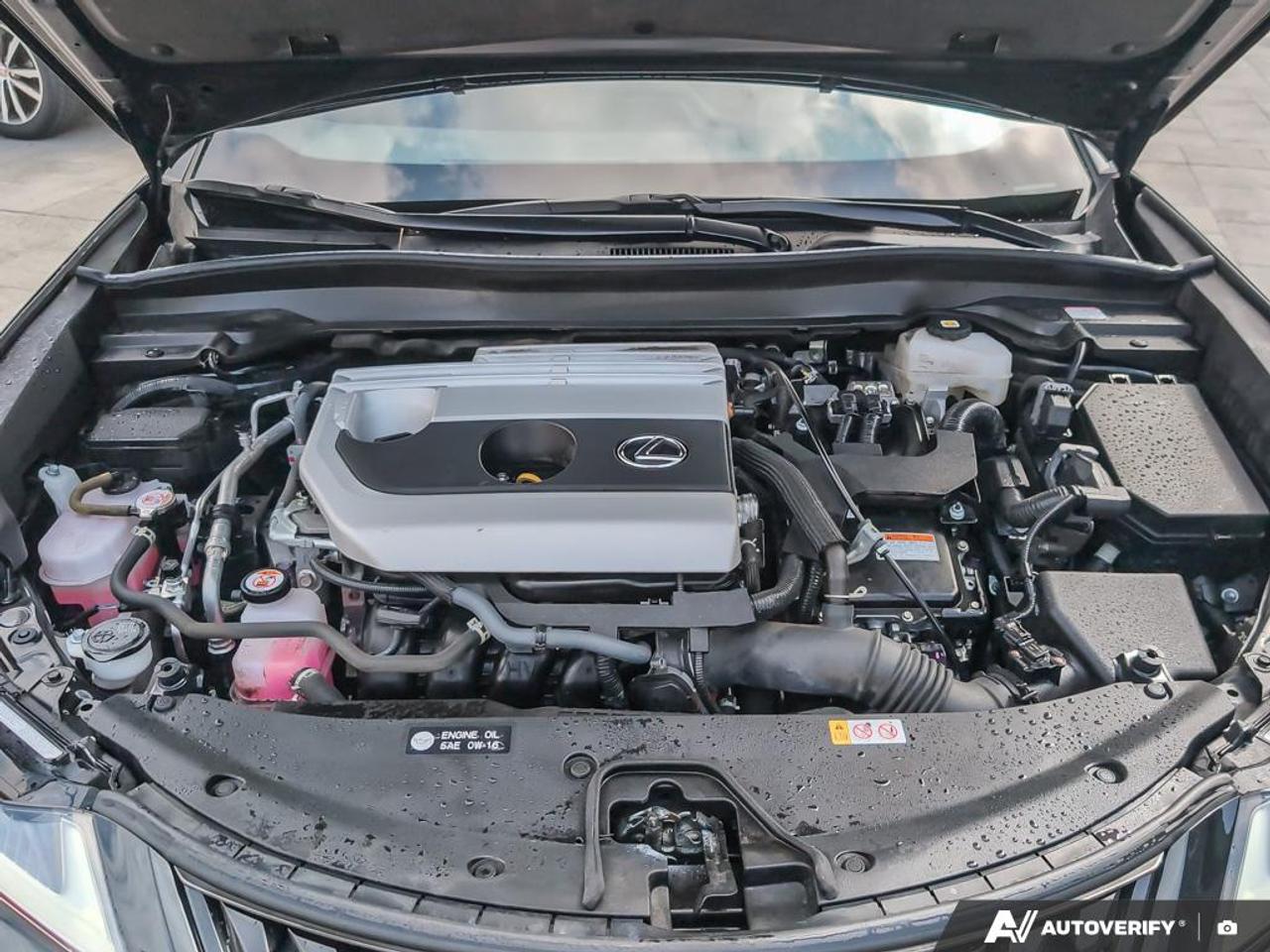 2024 Lexus UX 250H Base 4dr All-Wheel Drive Photo