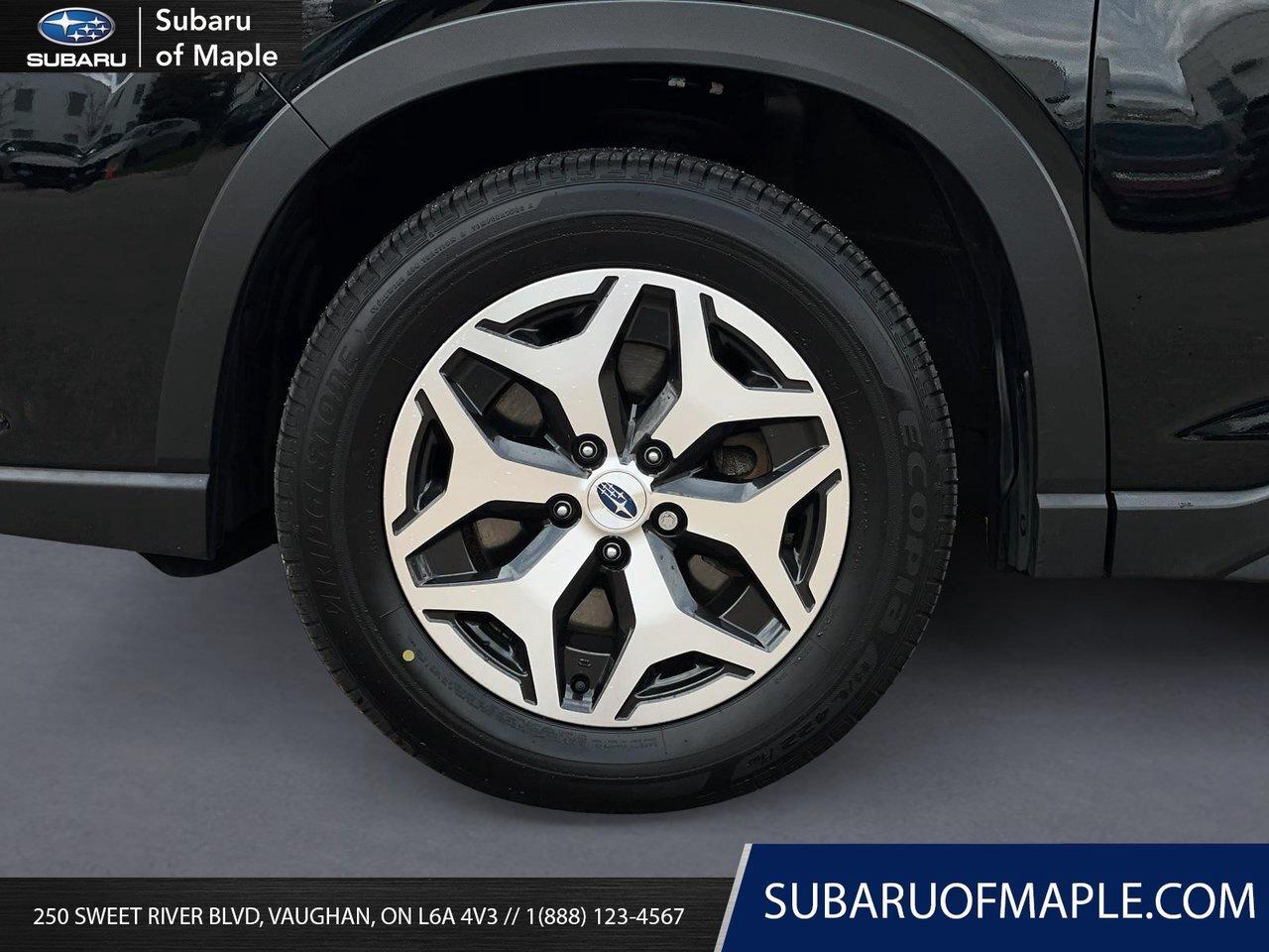 2024 Subaru Forester  Photo