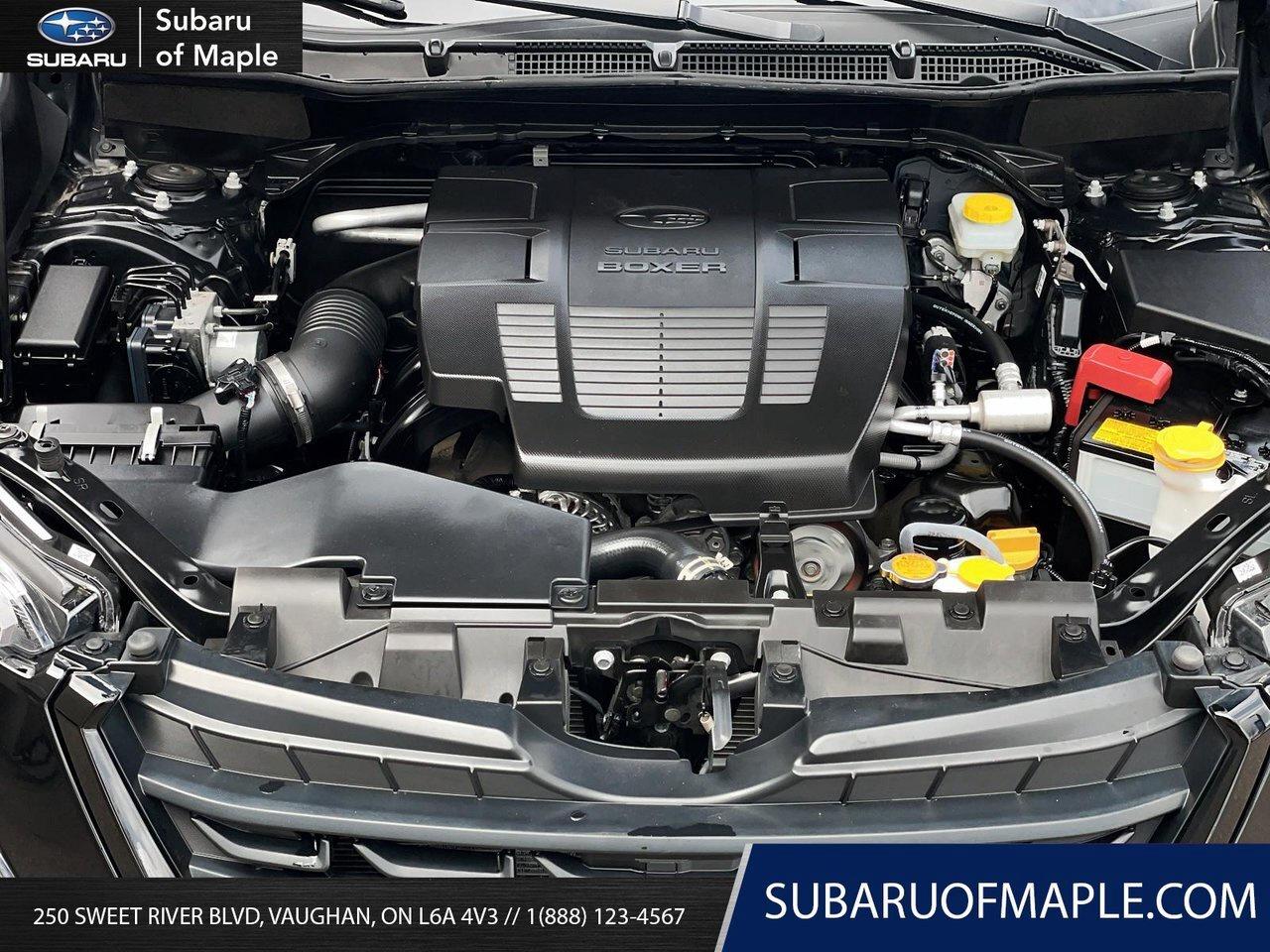 2024 Subaru Forester  Photo