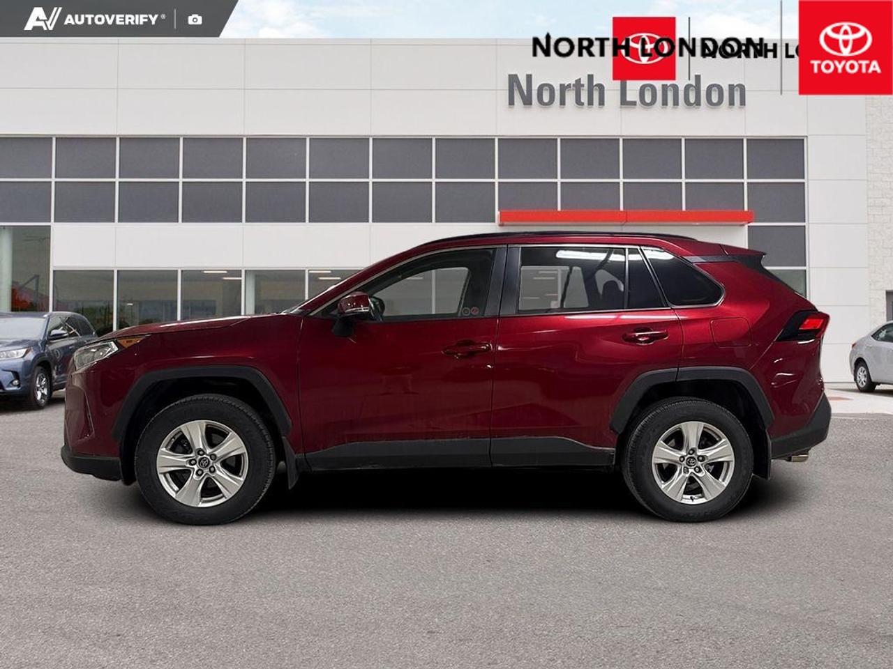 2020 Toyota RAV4 XLE 4dr Front-wheel Drive Photo