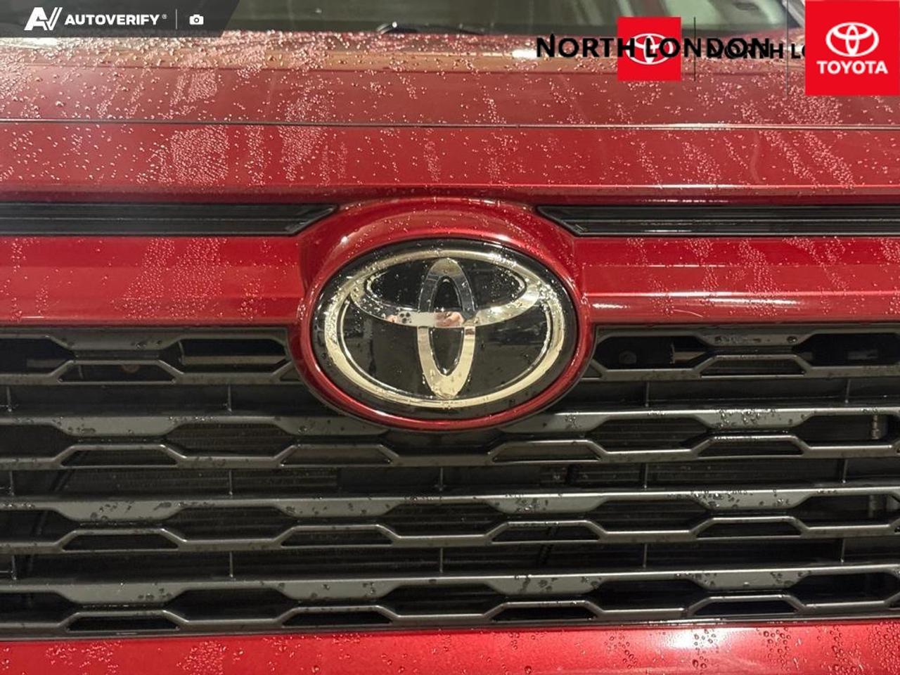 2020 Toyota RAV4 XLE 4dr Front-wheel Drive Photo