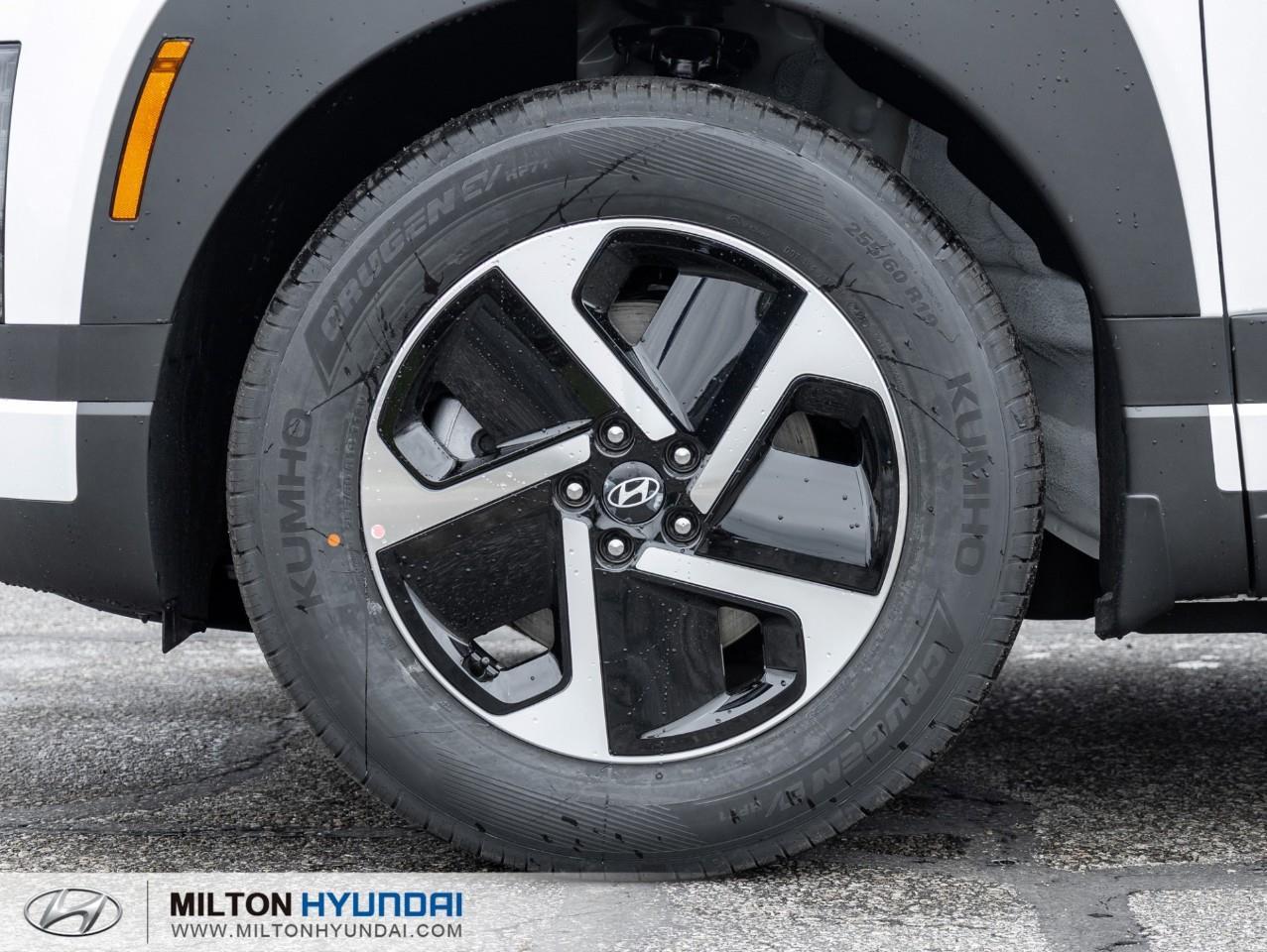2026 Hyundai IONIQ 9 Preferred w/Luxury Package All-Wheel Drive Photo3