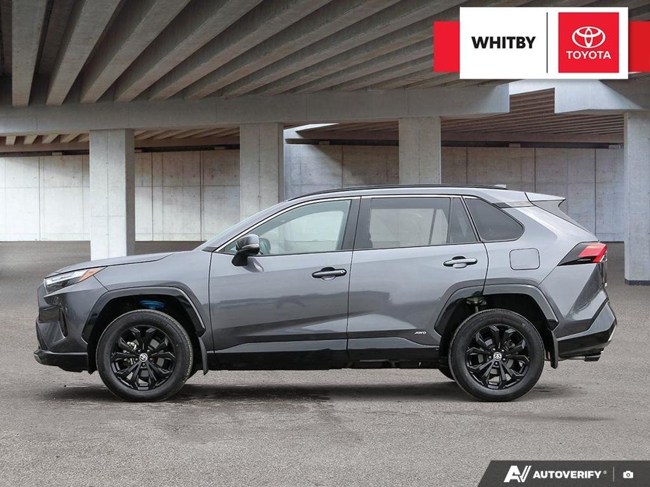 2023 Toyota RAV4 SE 2.5L Photo