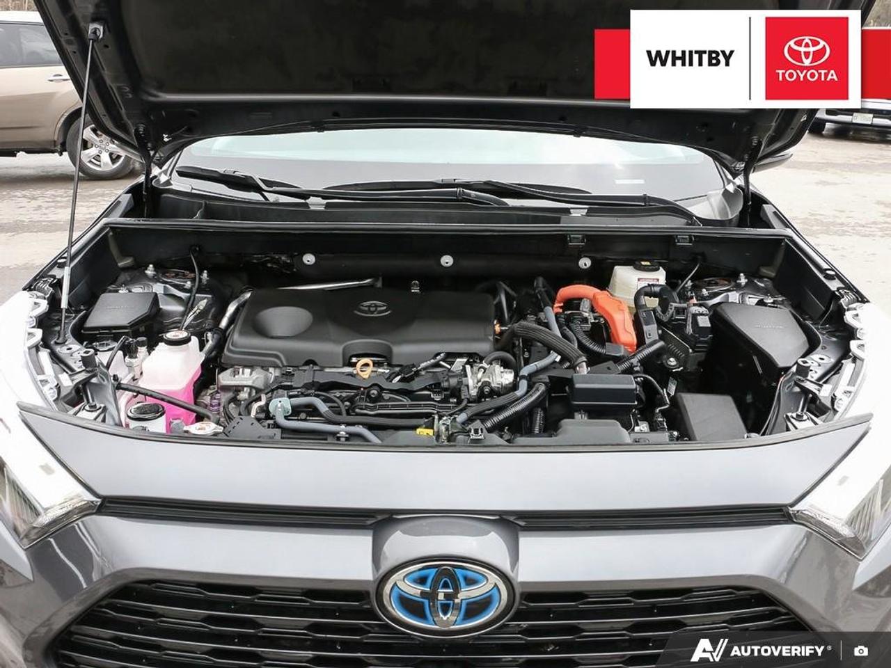 2023 Toyota RAV4 SE 2.5L Photo