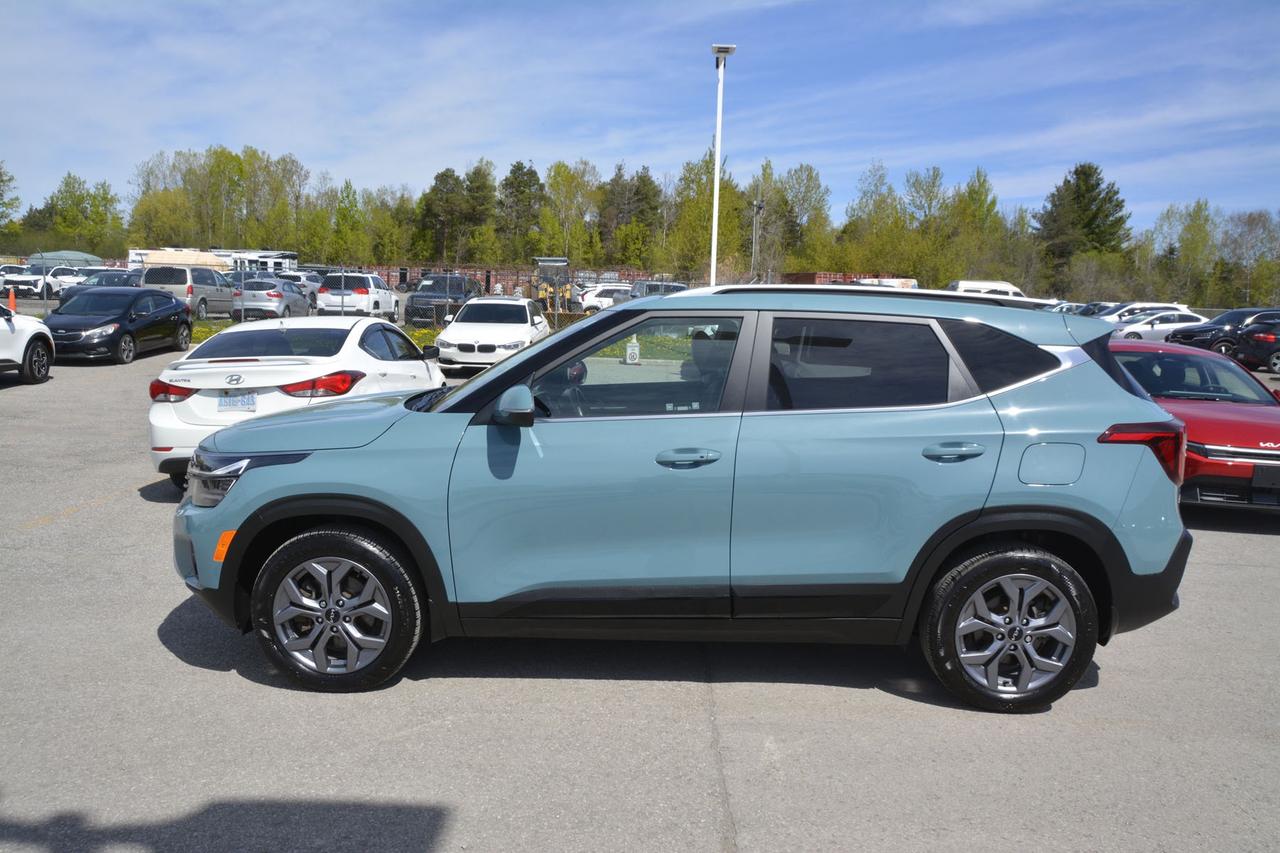 2024 Kia Seltos EX Photo