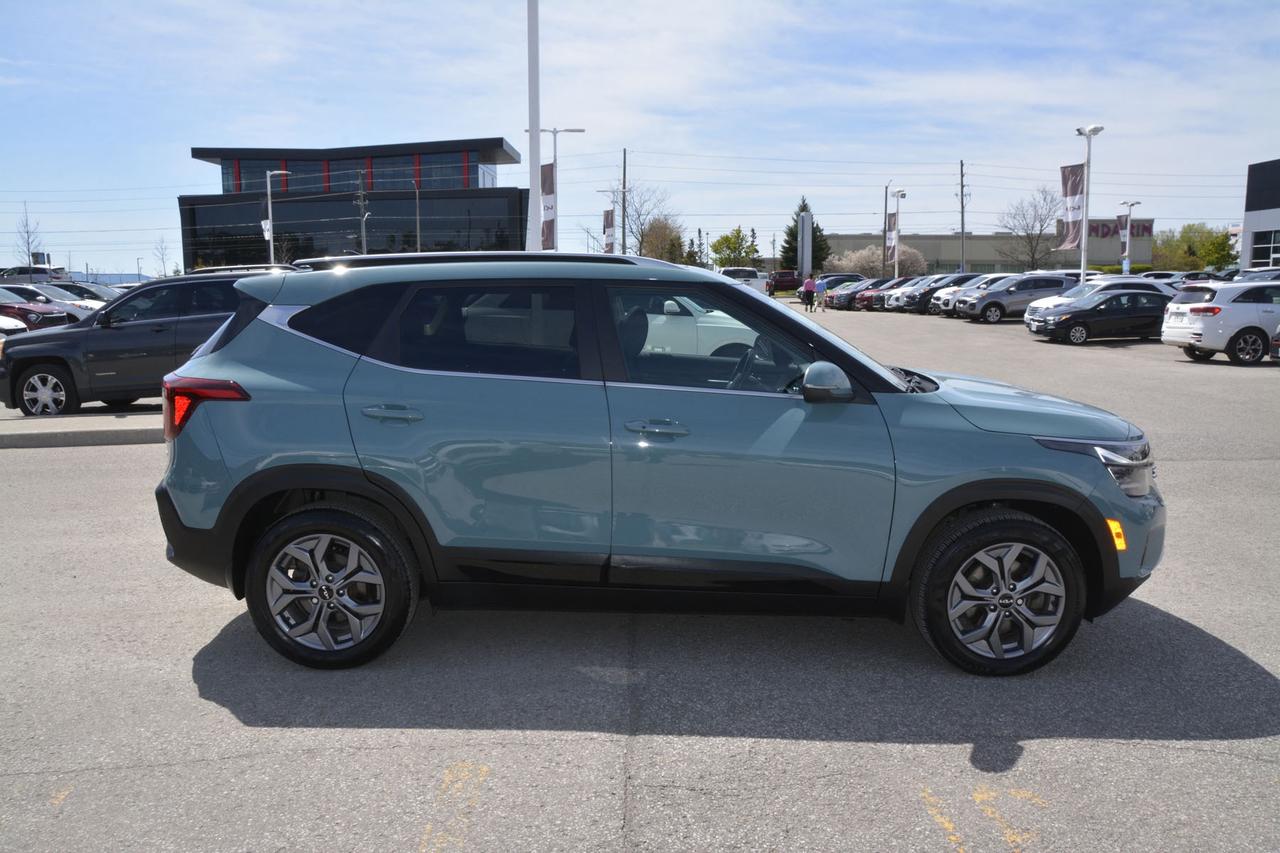 2024 Kia Seltos EX Photo