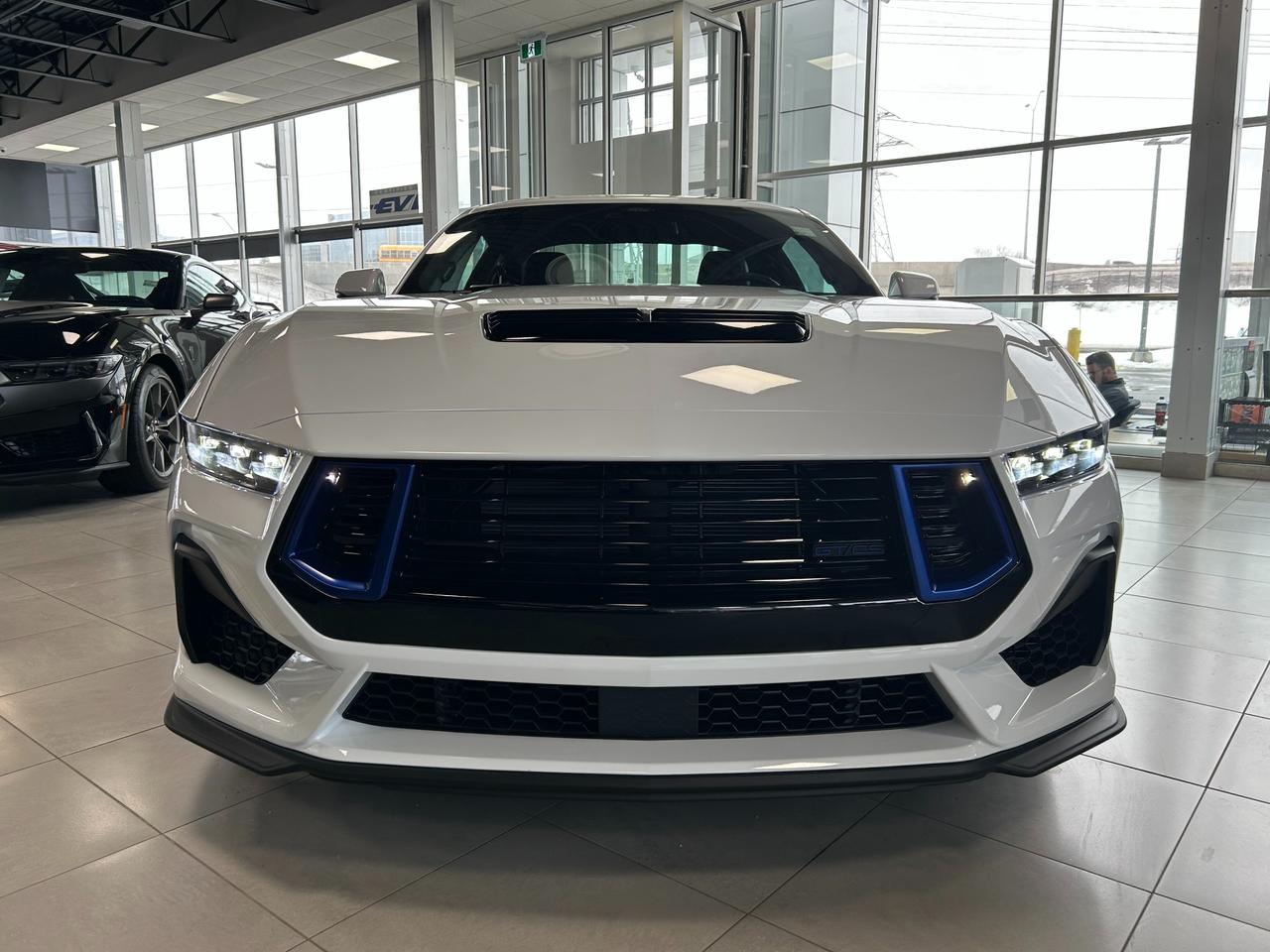 2025 Ford Mustang GT Premium 2dr Fastback Photo