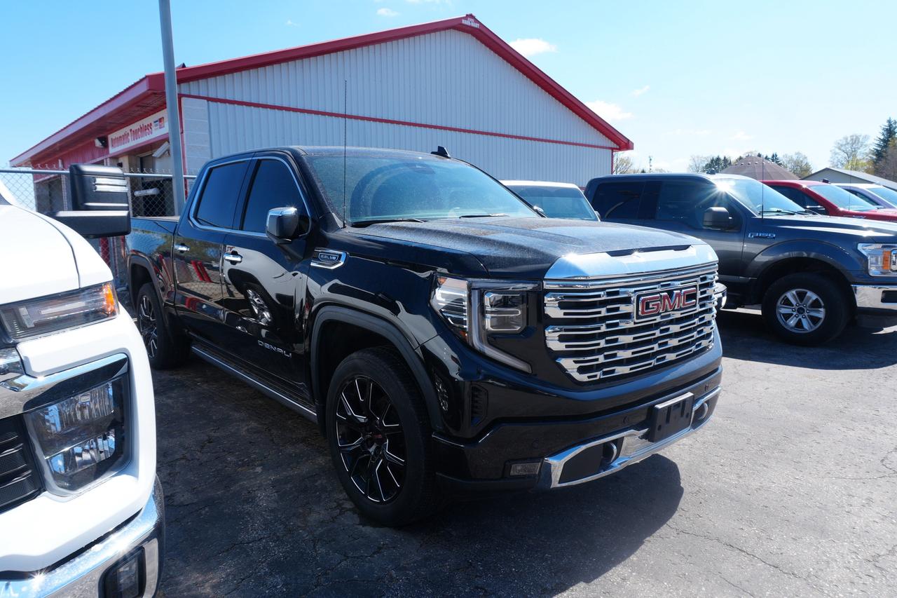 2024 GMC Sierra 1500 Denali Photo0