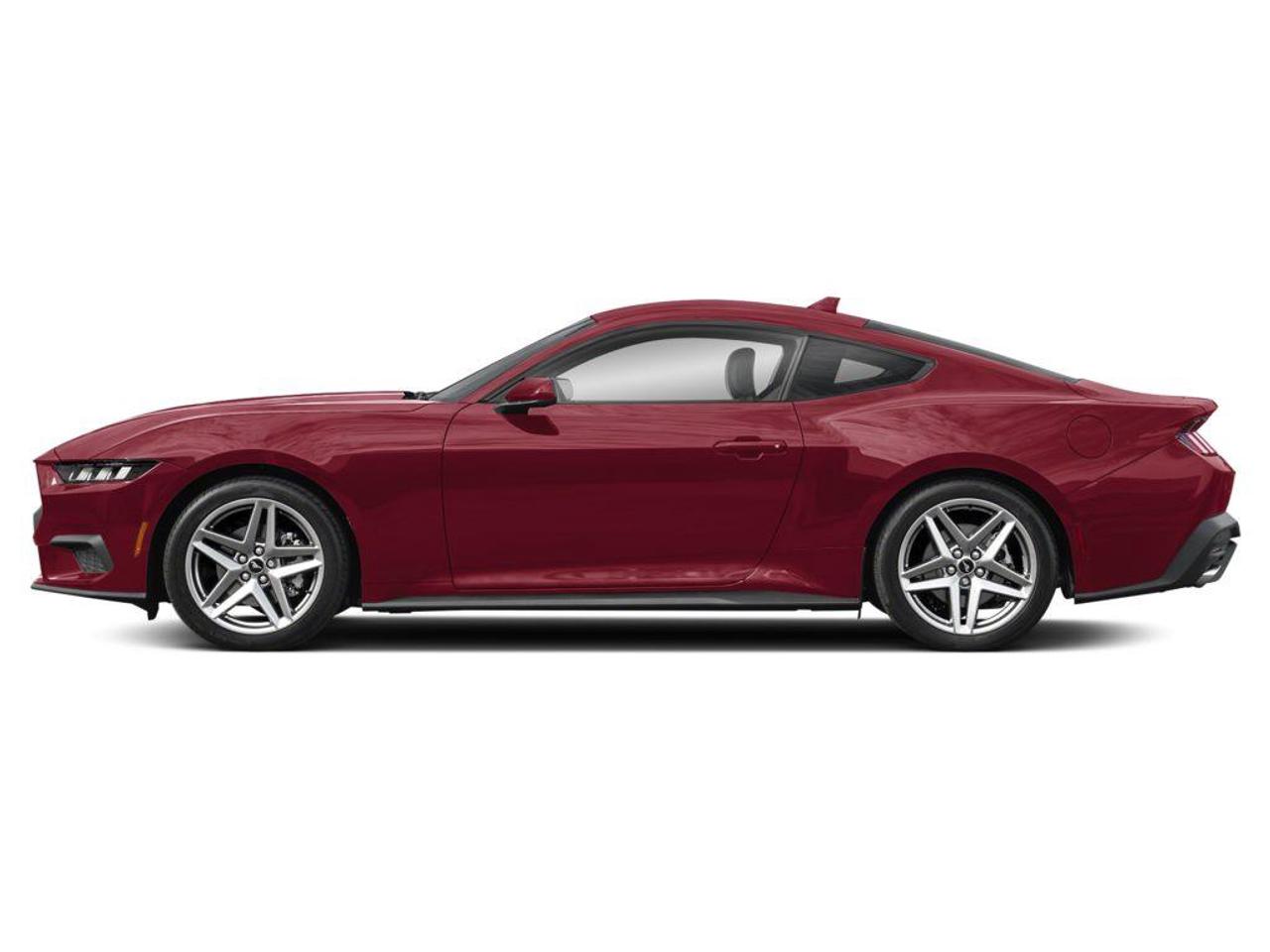 2026 Ford Mustang  Photo