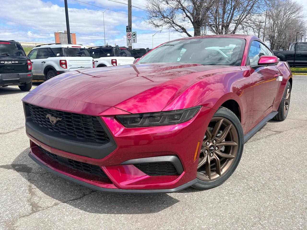2026 Ford Mustang  Photo0