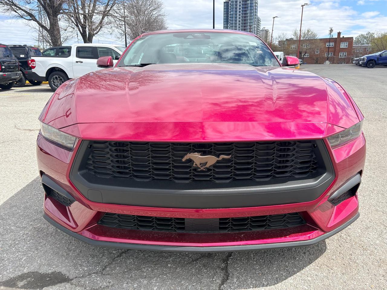 2026 Ford Mustang  Photo