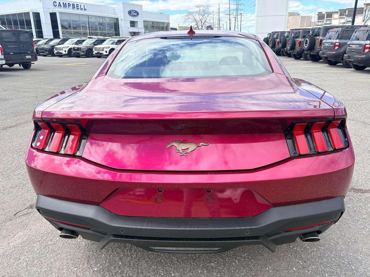 2026 Ford Mustang  Photo