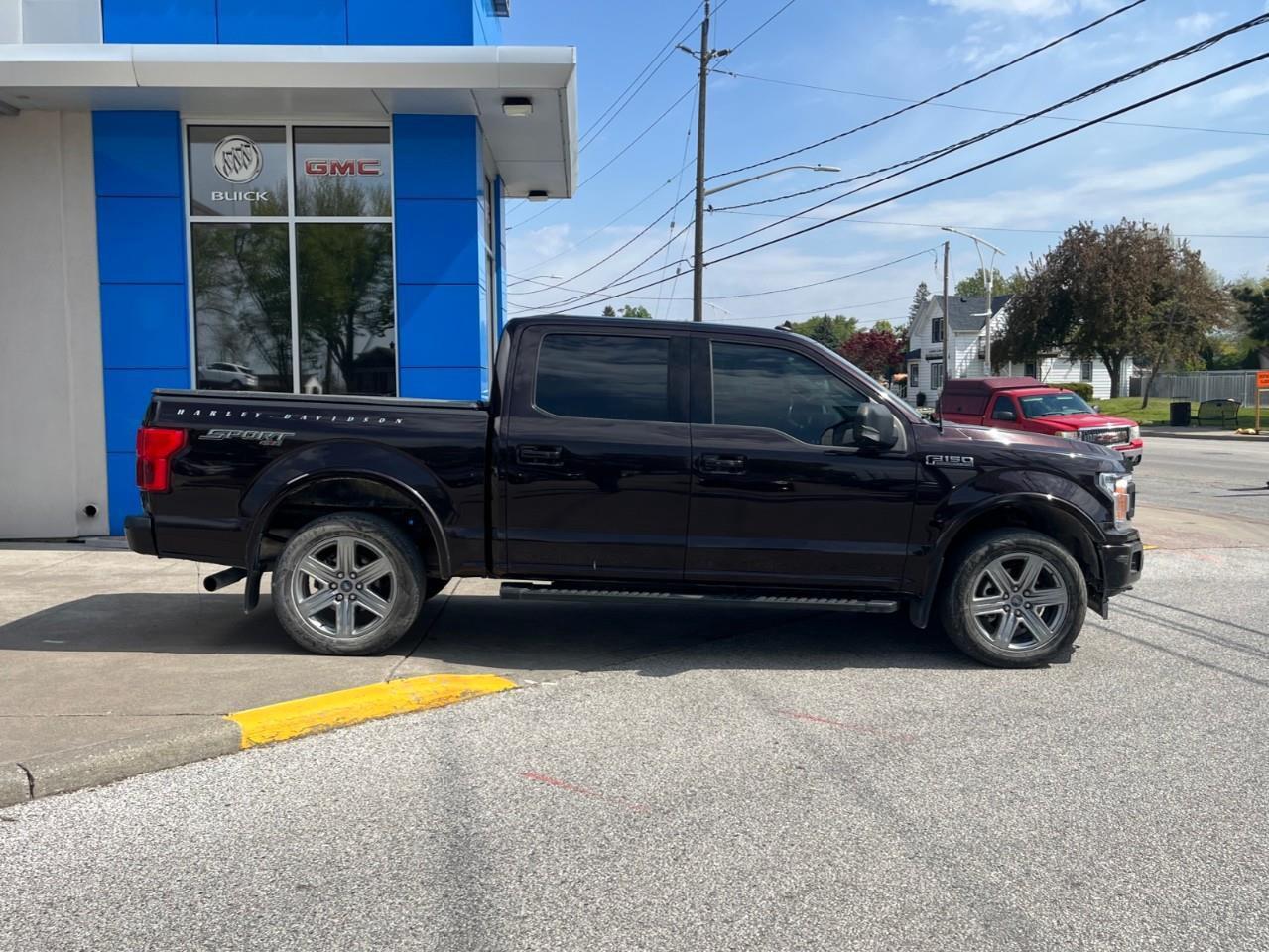 2019 Ford F-150  Photo3