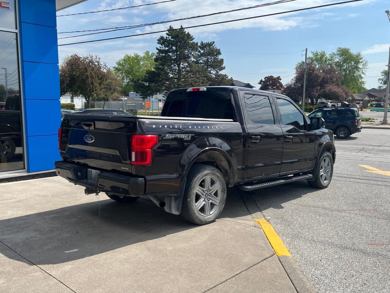 2019 Ford F-150  Photo