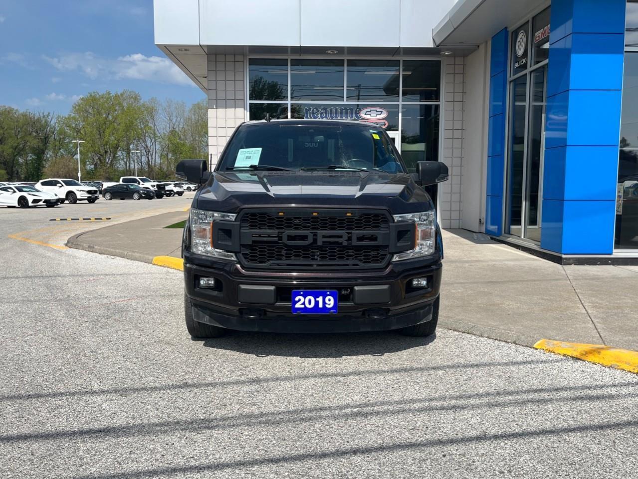 2019 Ford F-150  Photo
