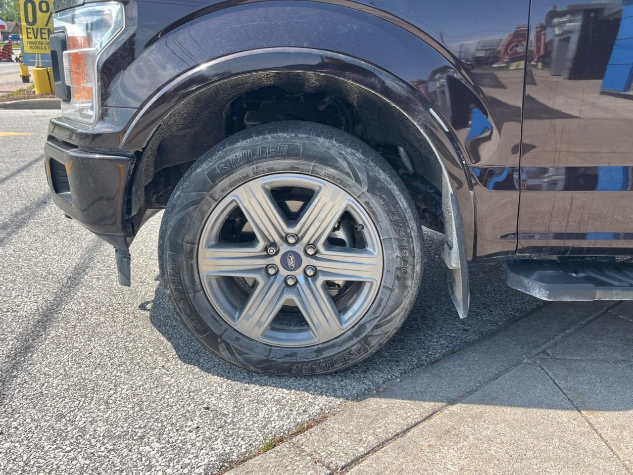 2019 Ford F-150  Photo