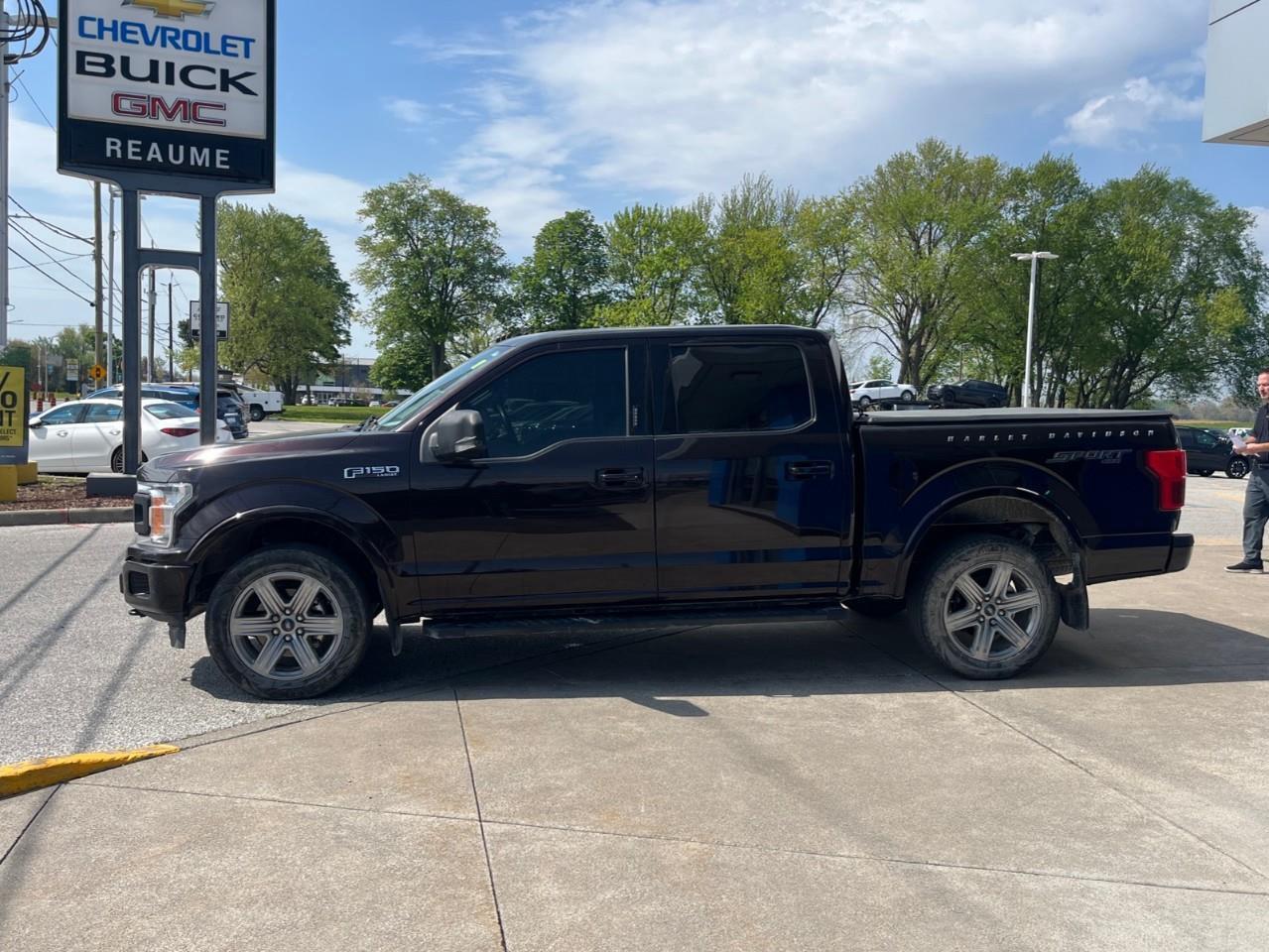 2019 Ford F-150  Photo