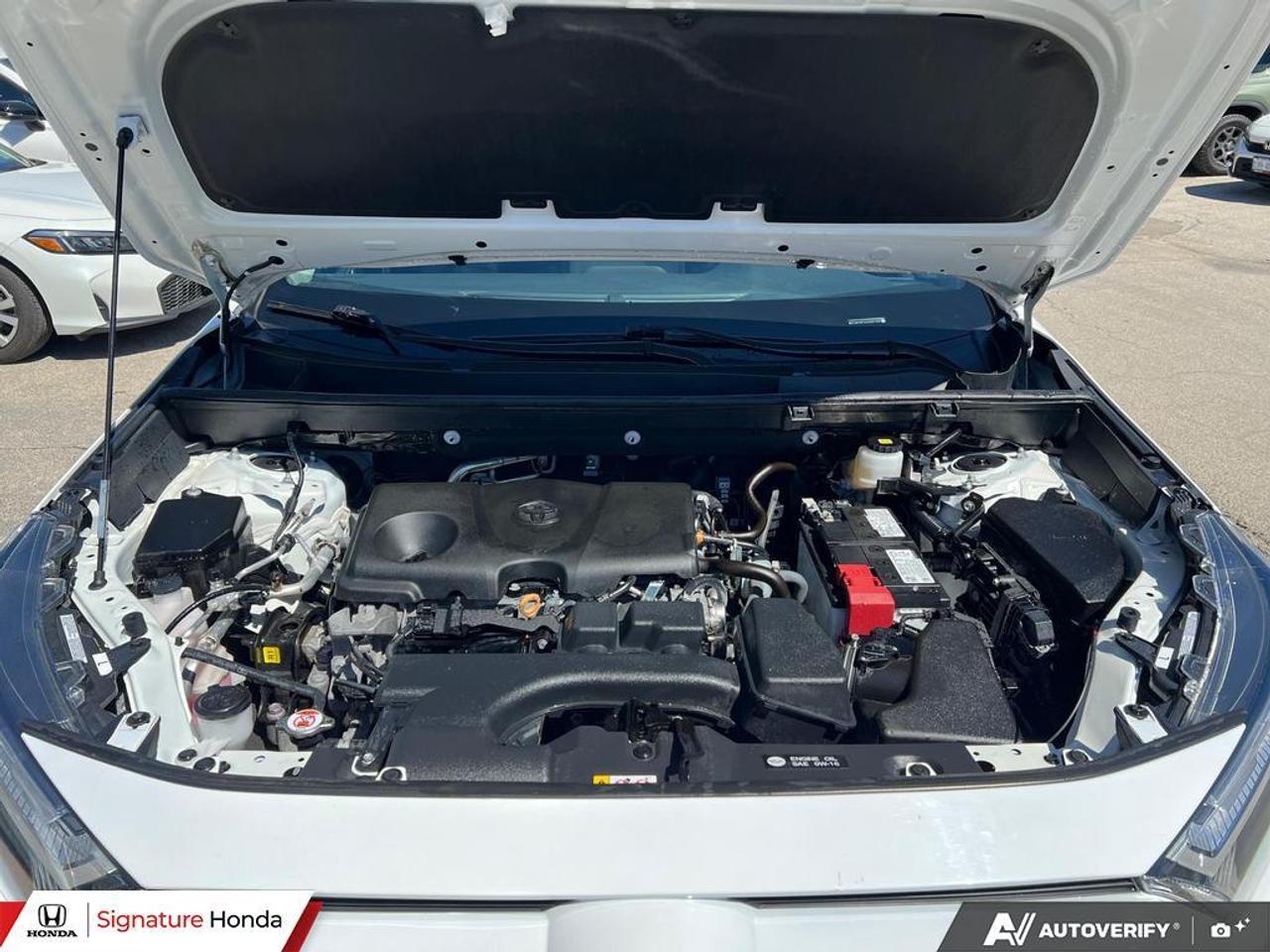 2025 Toyota RAV4 XLE Photo