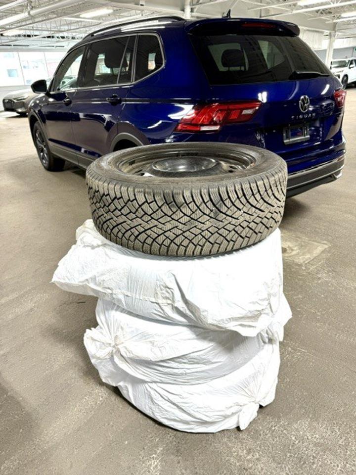 2023 Volkswagen Tiguan Comfortline 4dr All-wheel Drive 4MOTION Photo