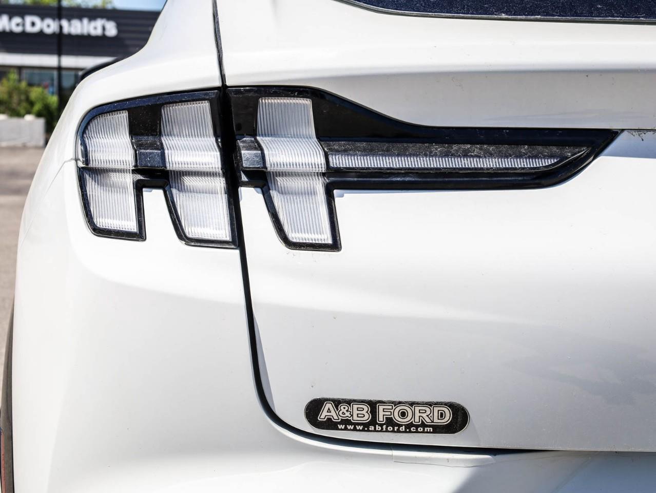 2021 Ford Mustang Mach-E Premium 4dr All-Wheel Drive Photo