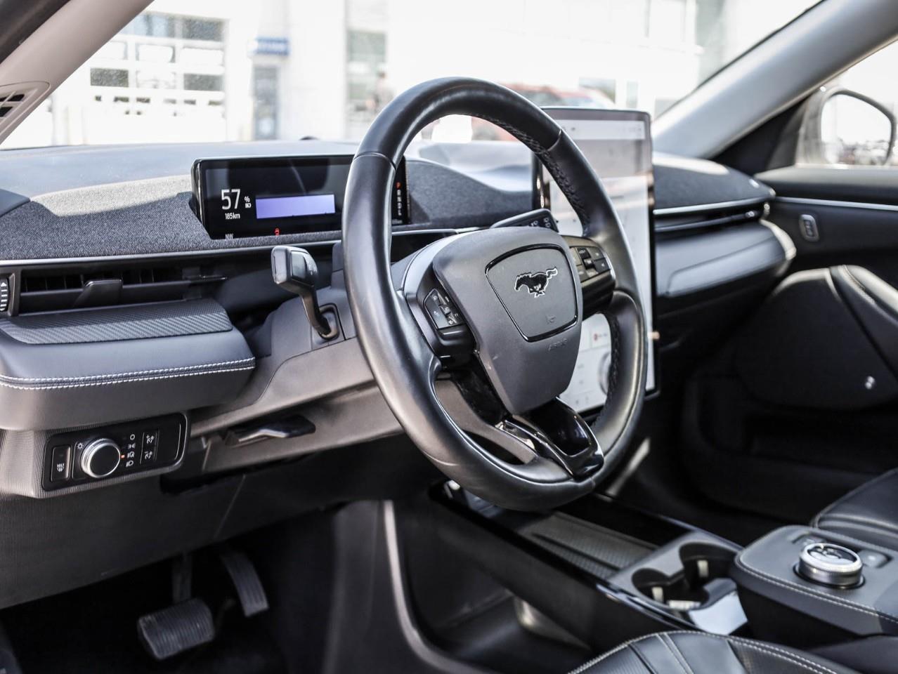 2021 Ford Mustang Mach-E Premium 4dr All-Wheel Drive Photo