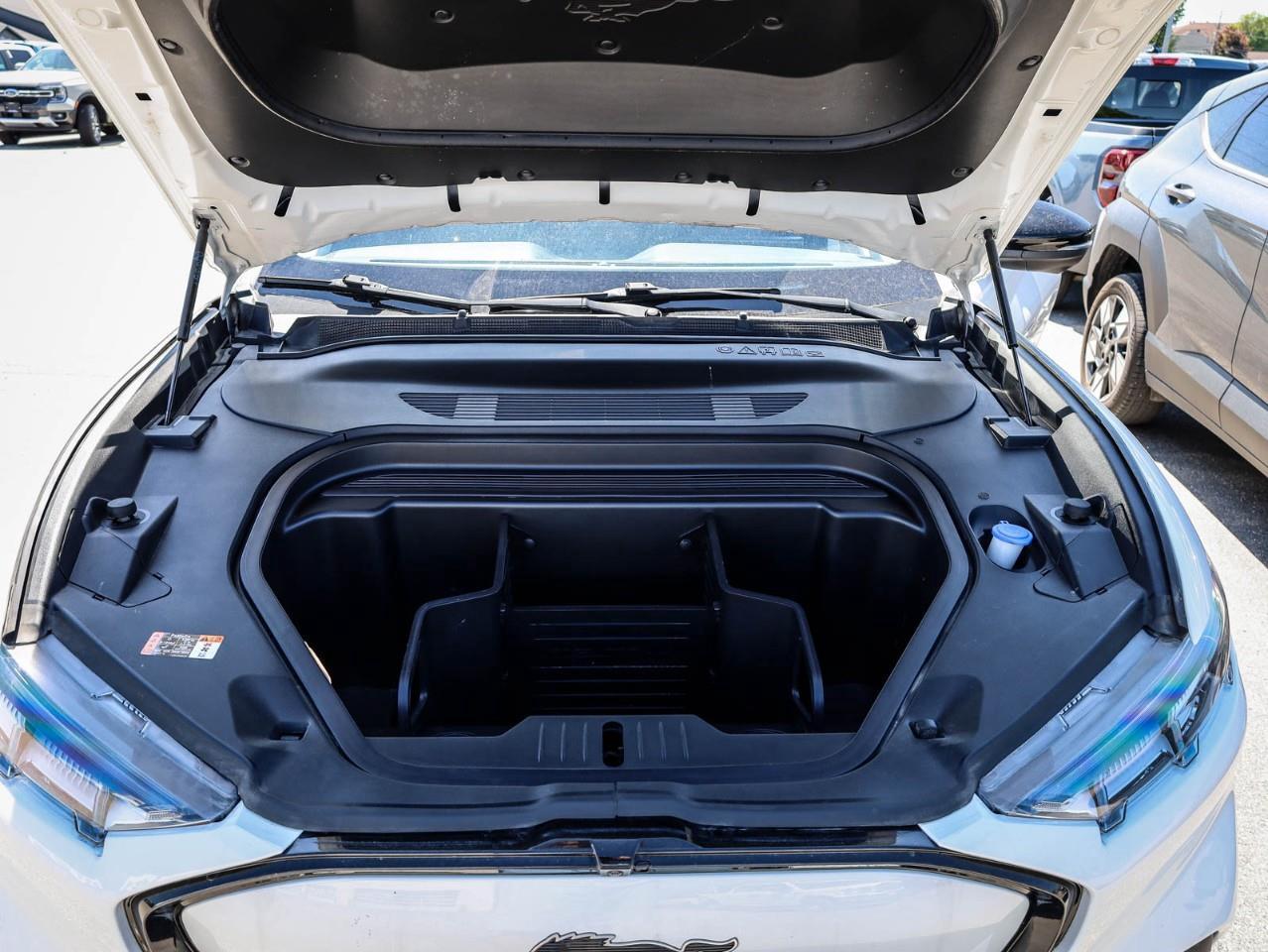 2021 Ford Mustang Mach-E Premium 4dr All-Wheel Drive Photo