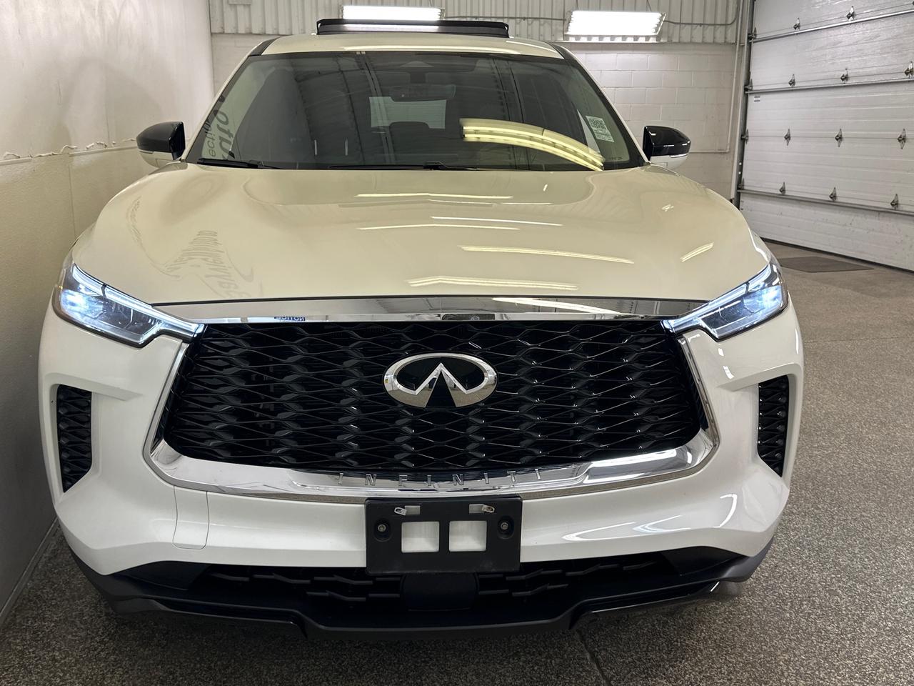 2024 Infiniti QX60 PURE Photo