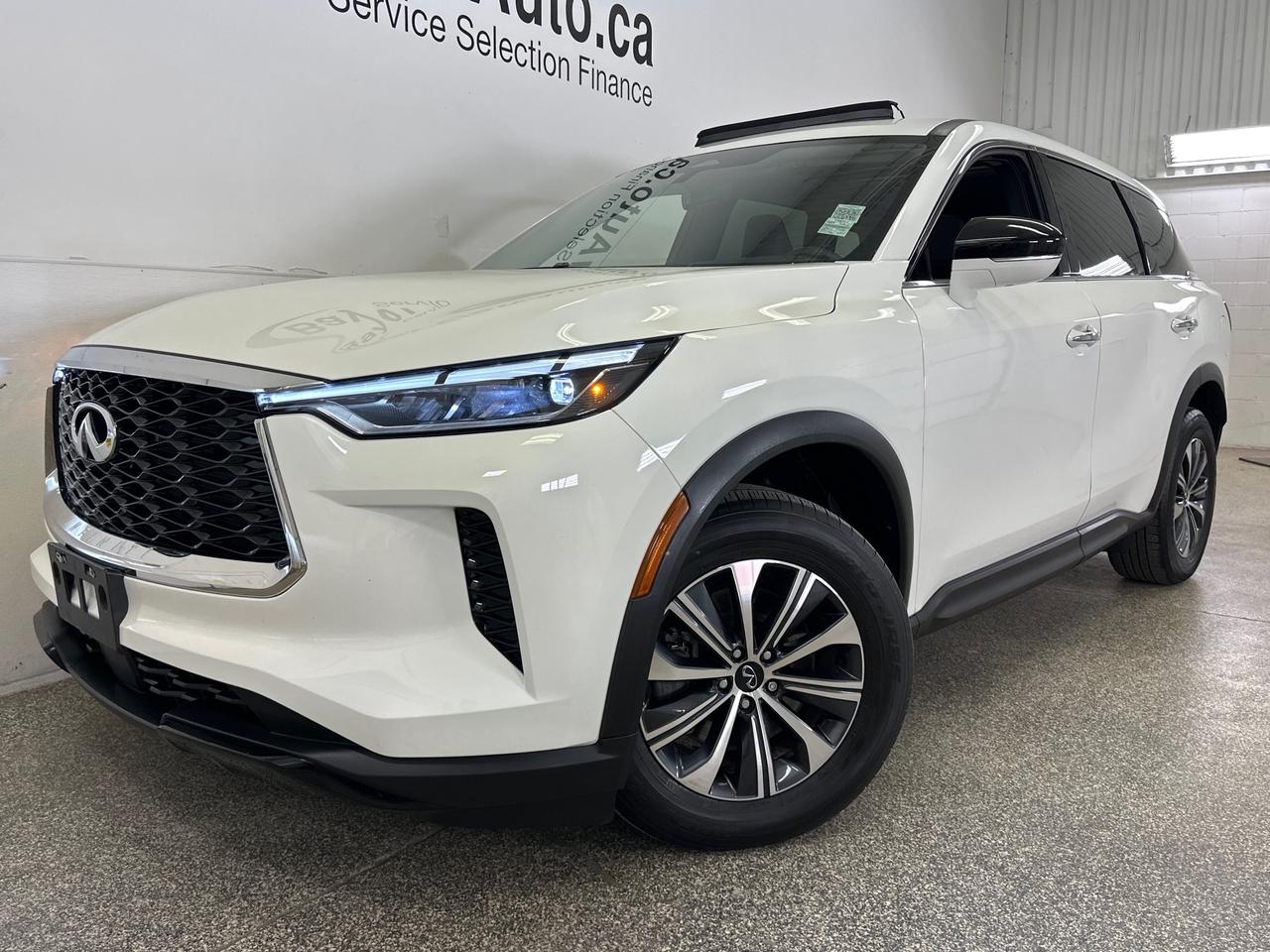 2024 Infiniti QX60 PURE Photo