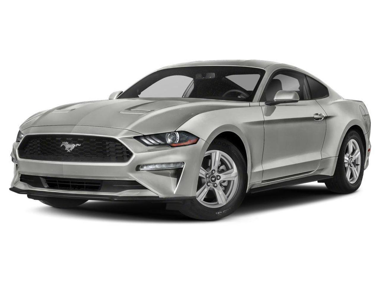 2020 Ford Mustang EcoBoost Premium 2dr Fastback Photo0