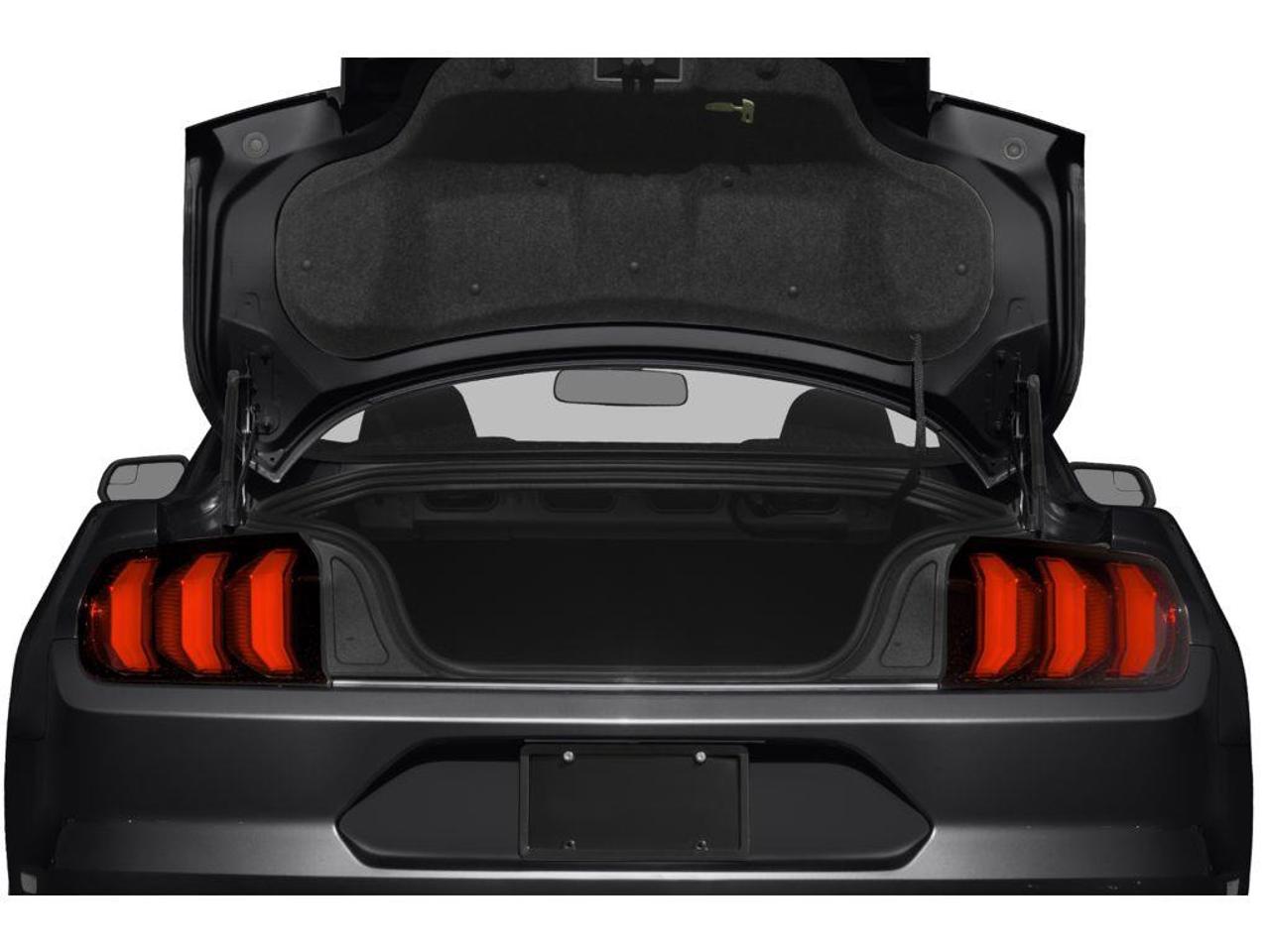 2020 Ford Mustang EcoBoost Premium 2dr Fastback Photo
