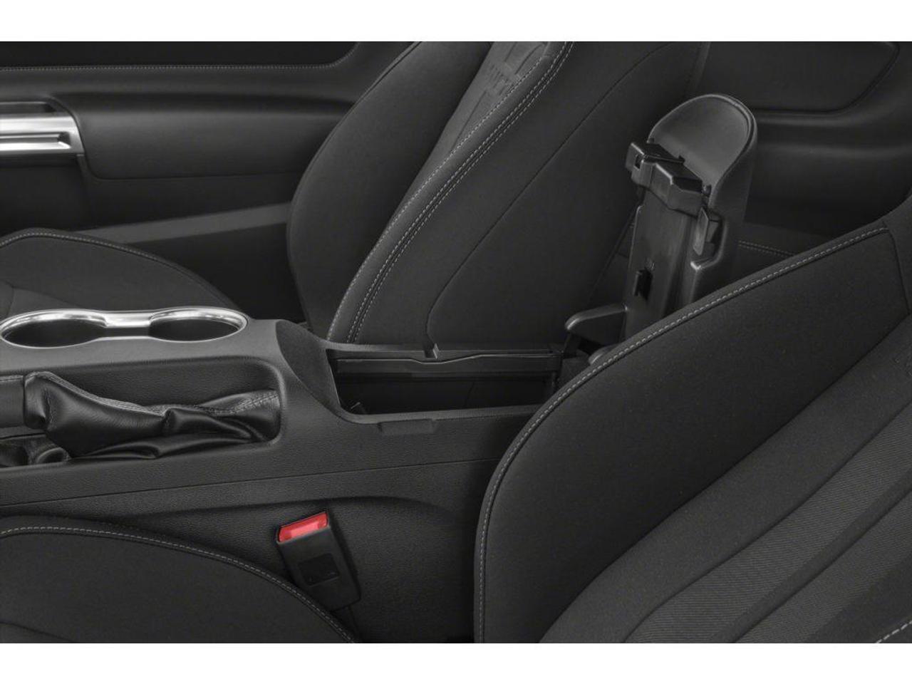 2020 Ford Mustang EcoBoost Premium 2dr Fastback Photo