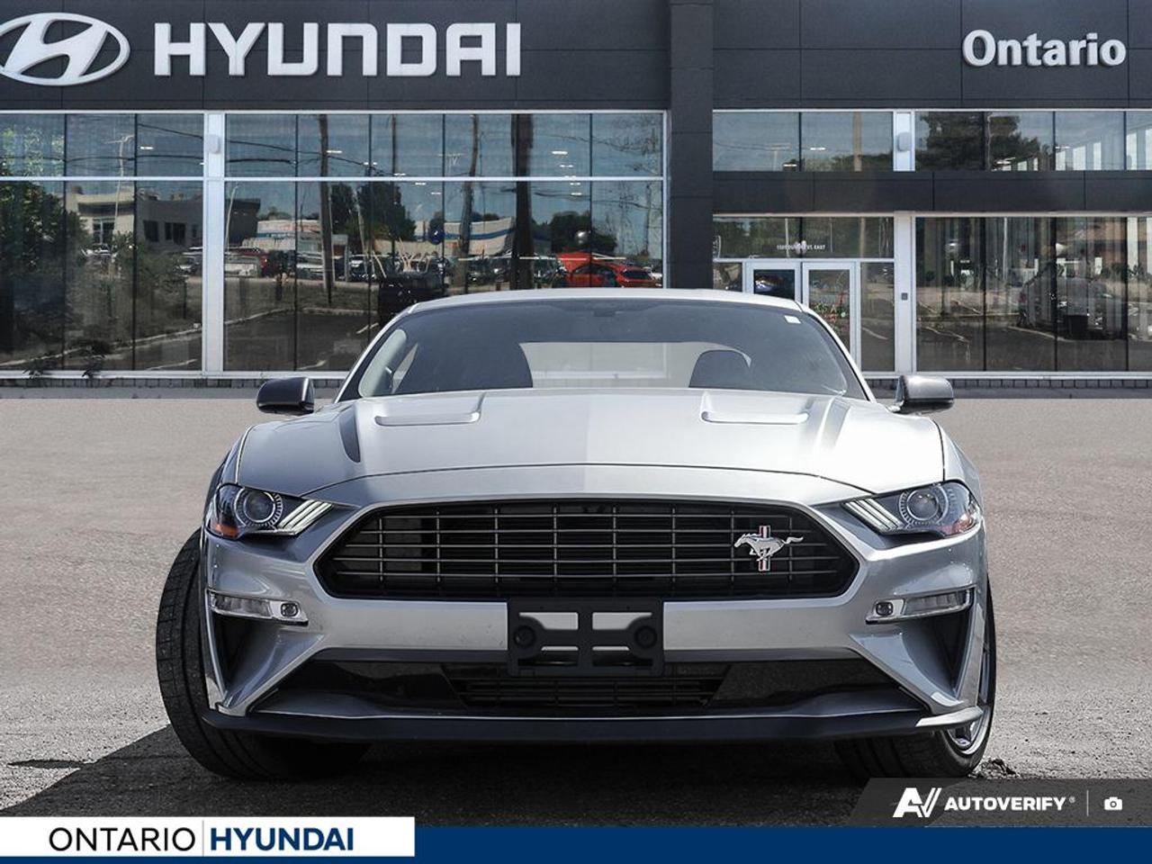 2020 Ford Mustang EcoBoost Premium 2dr Fastback Photo