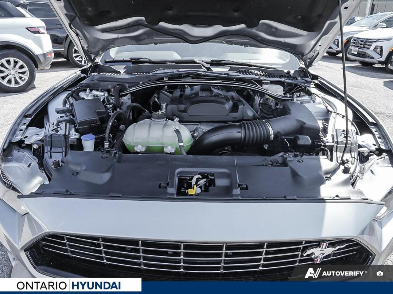 2020 Ford Mustang EcoBoost Premium 2dr Fastback Photo