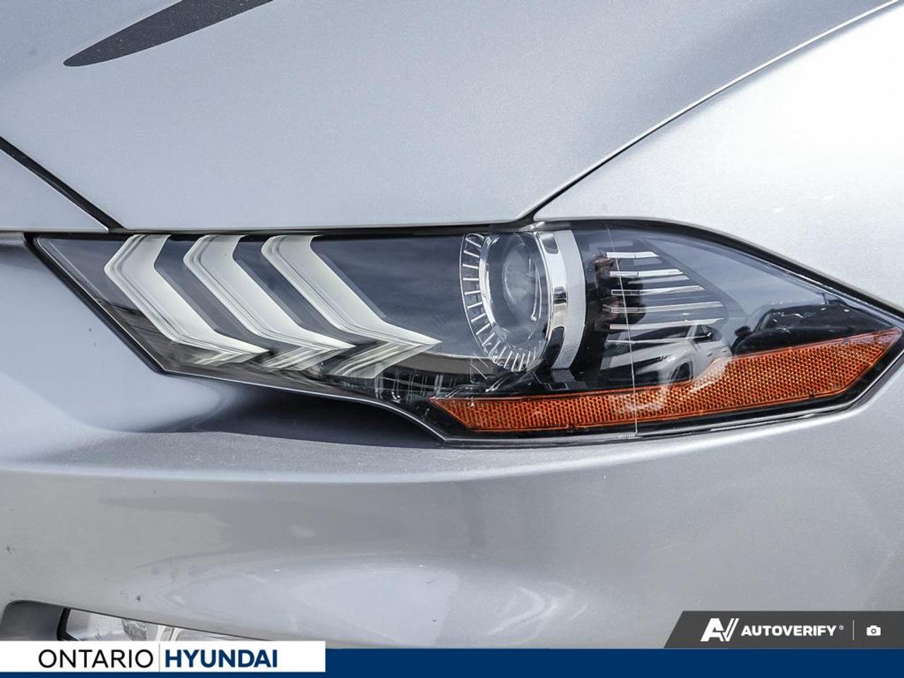 2020 Ford Mustang EcoBoost Premium 2dr Fastback Photo