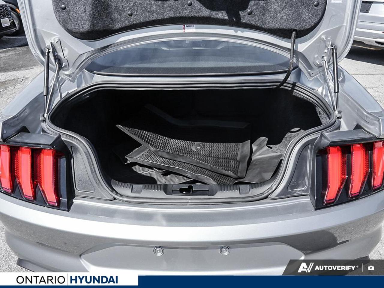 2020 Ford Mustang EcoBoost Premium 2dr Fastback Photo