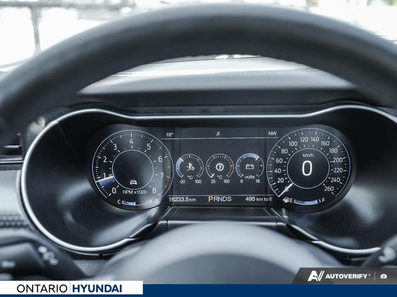 2020 Ford Mustang EcoBoost Premium 2dr Fastback Photo