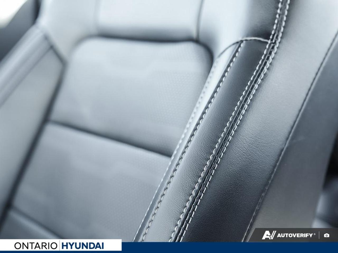 2020 Ford Mustang EcoBoost Premium 2dr Fastback Photo