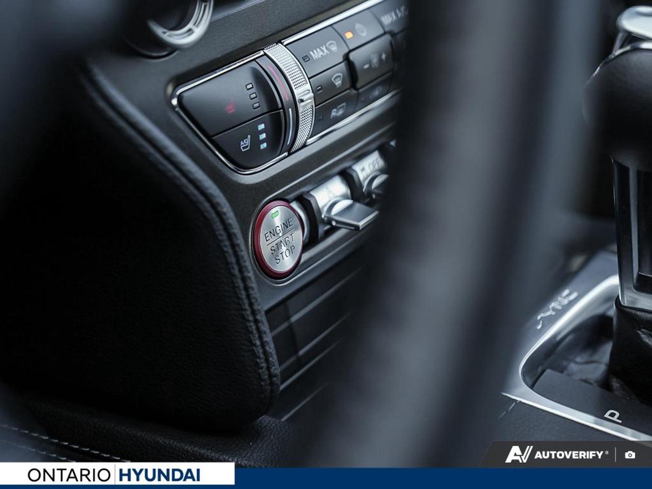 2020 Ford Mustang EcoBoost Premium 2dr Fastback Photo