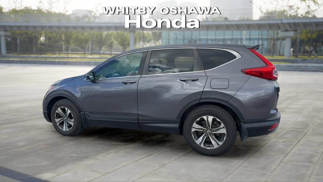 2019 Honda CR-V LX 2WD Photo